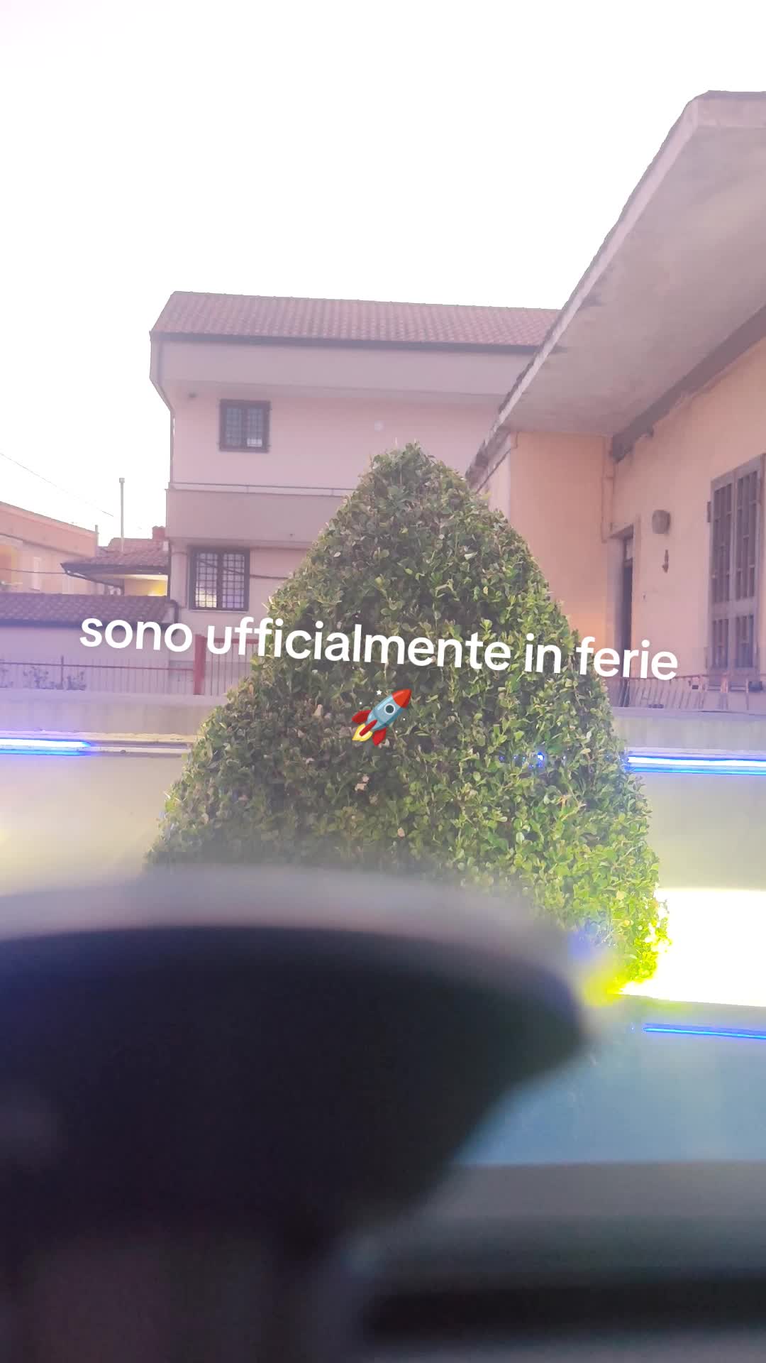 @Antonella Melino