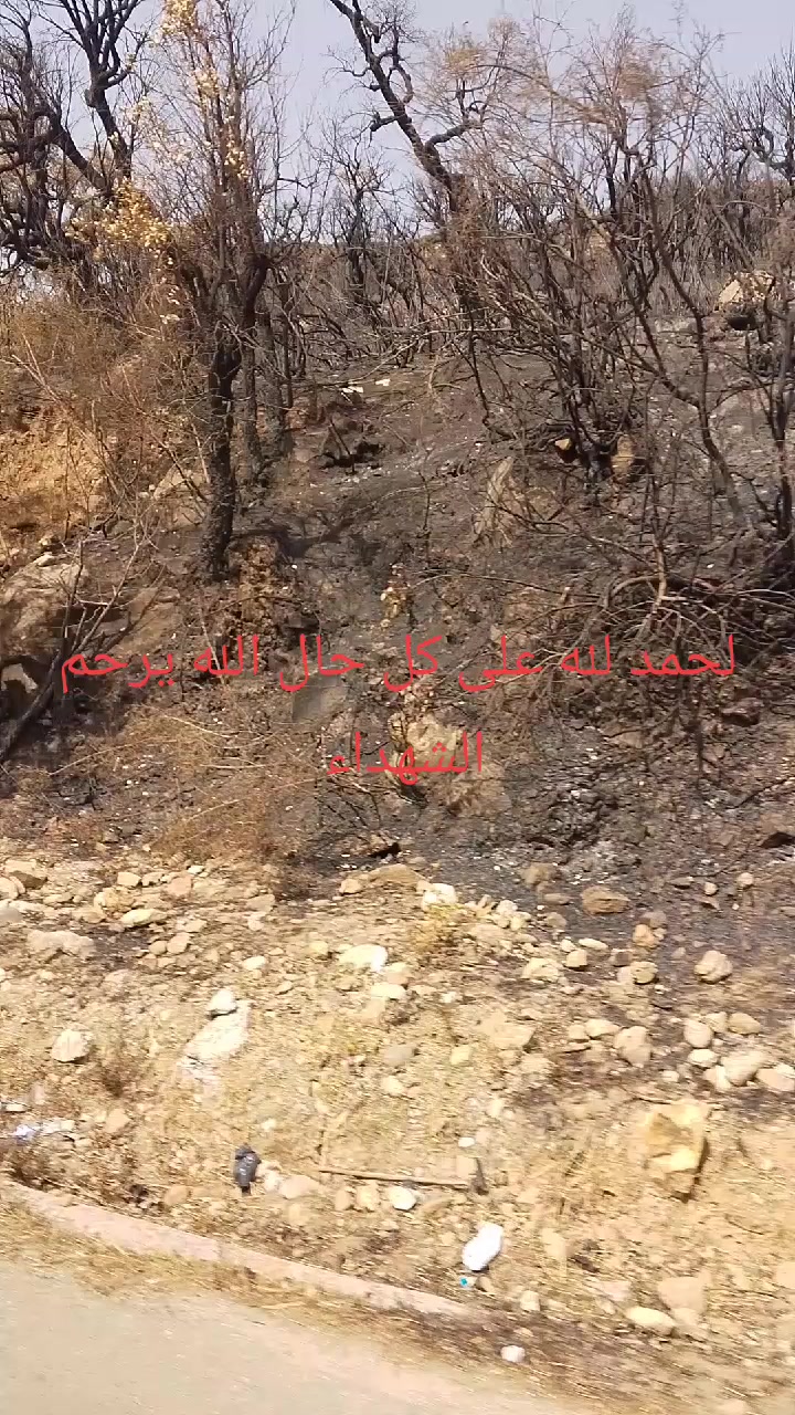 @قناة التوحيد