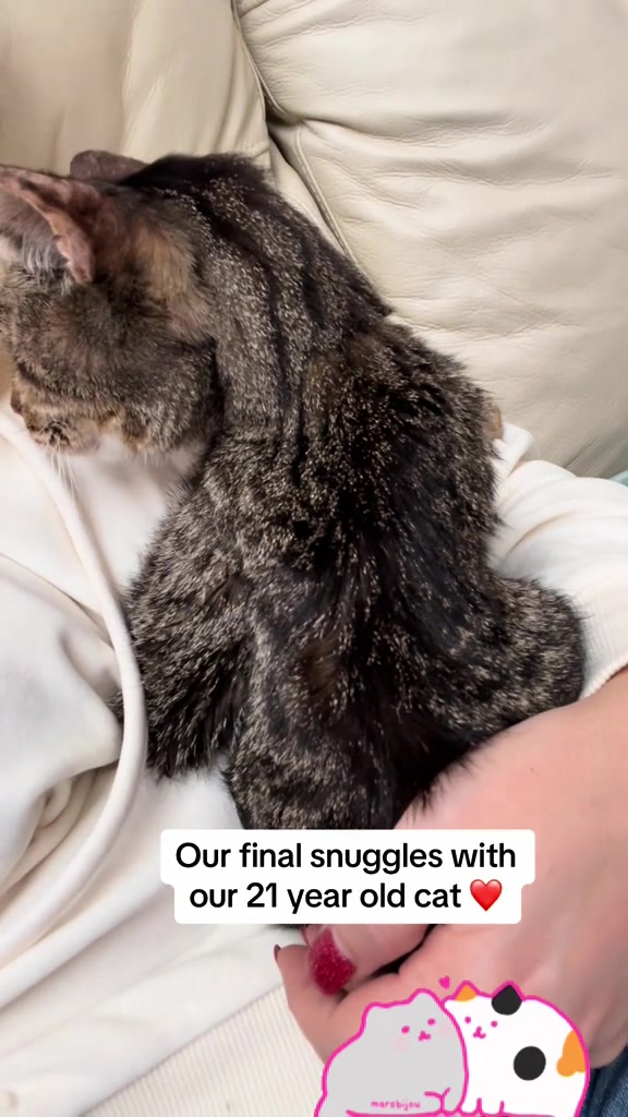 @Luke & Leia Catwalker