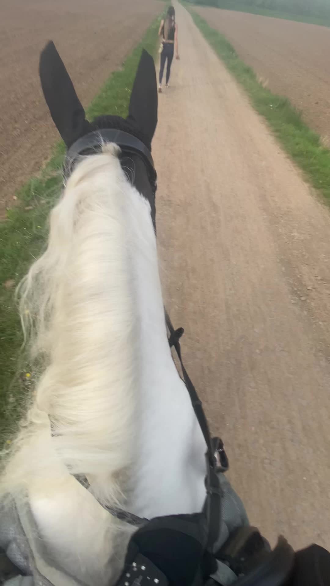 @sophie.x.090