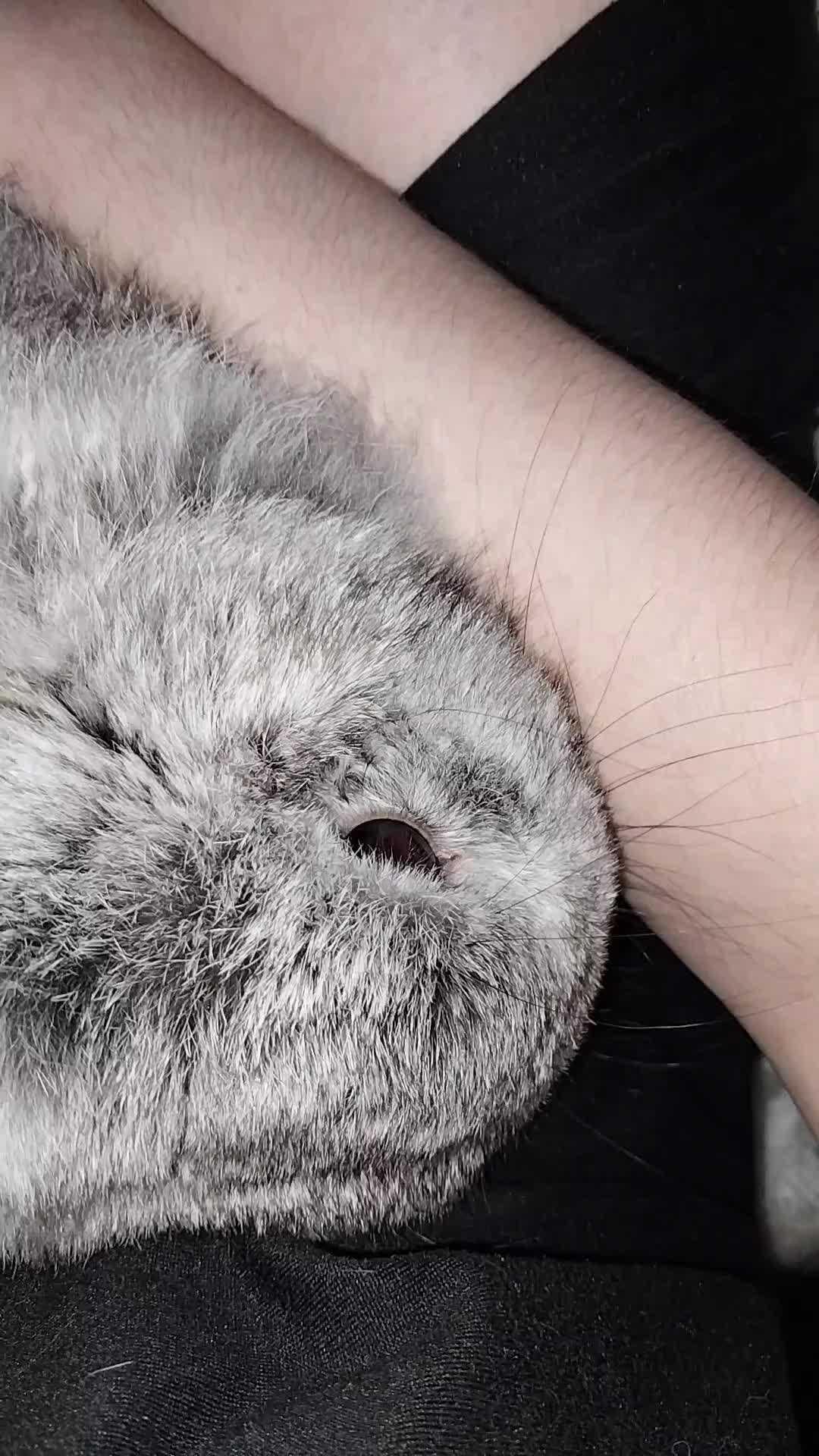@Ashley🖤🖤🖤
