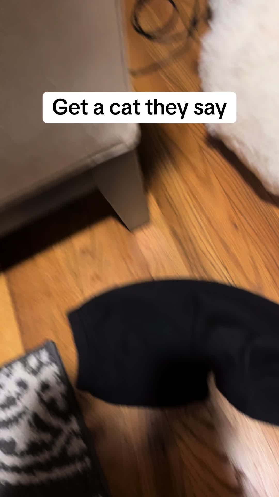 @Link the Cat