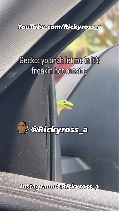 @Rickyross_a