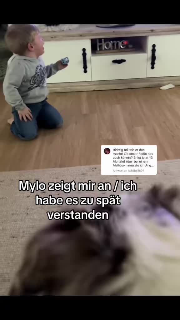 @Mylo_wird_zum_Assistenzhund