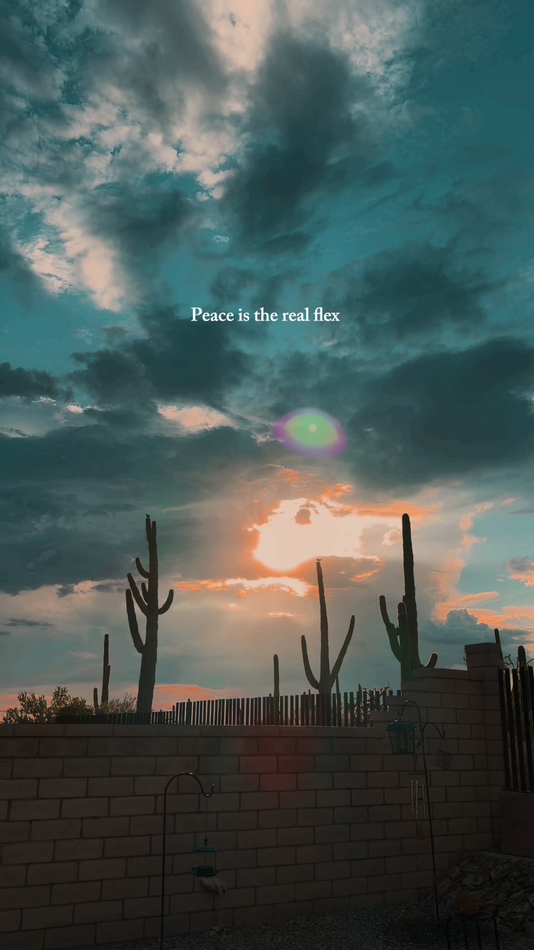 @desertgirly14