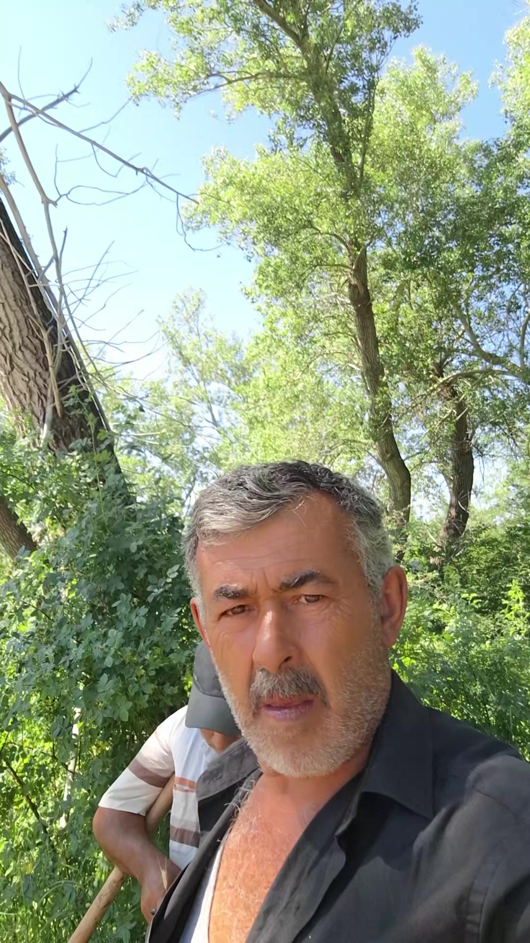 @Vural Demir