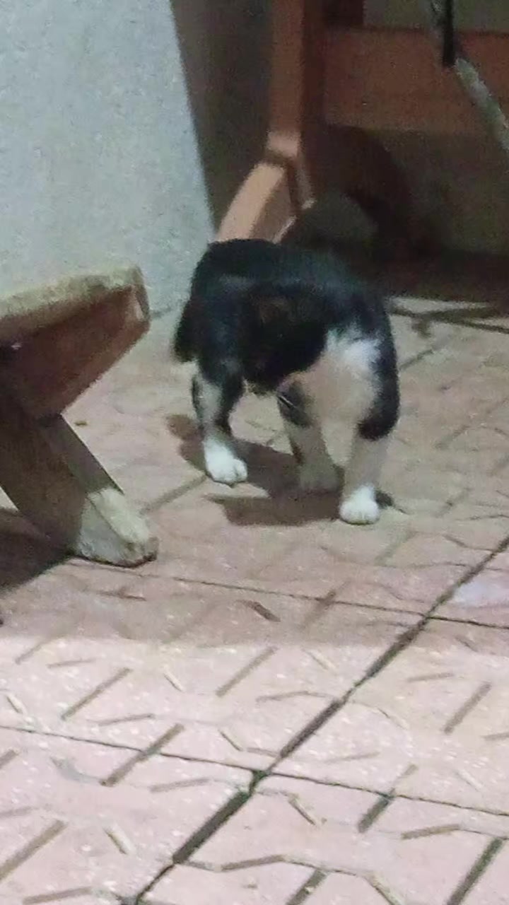 @Dilan Kur