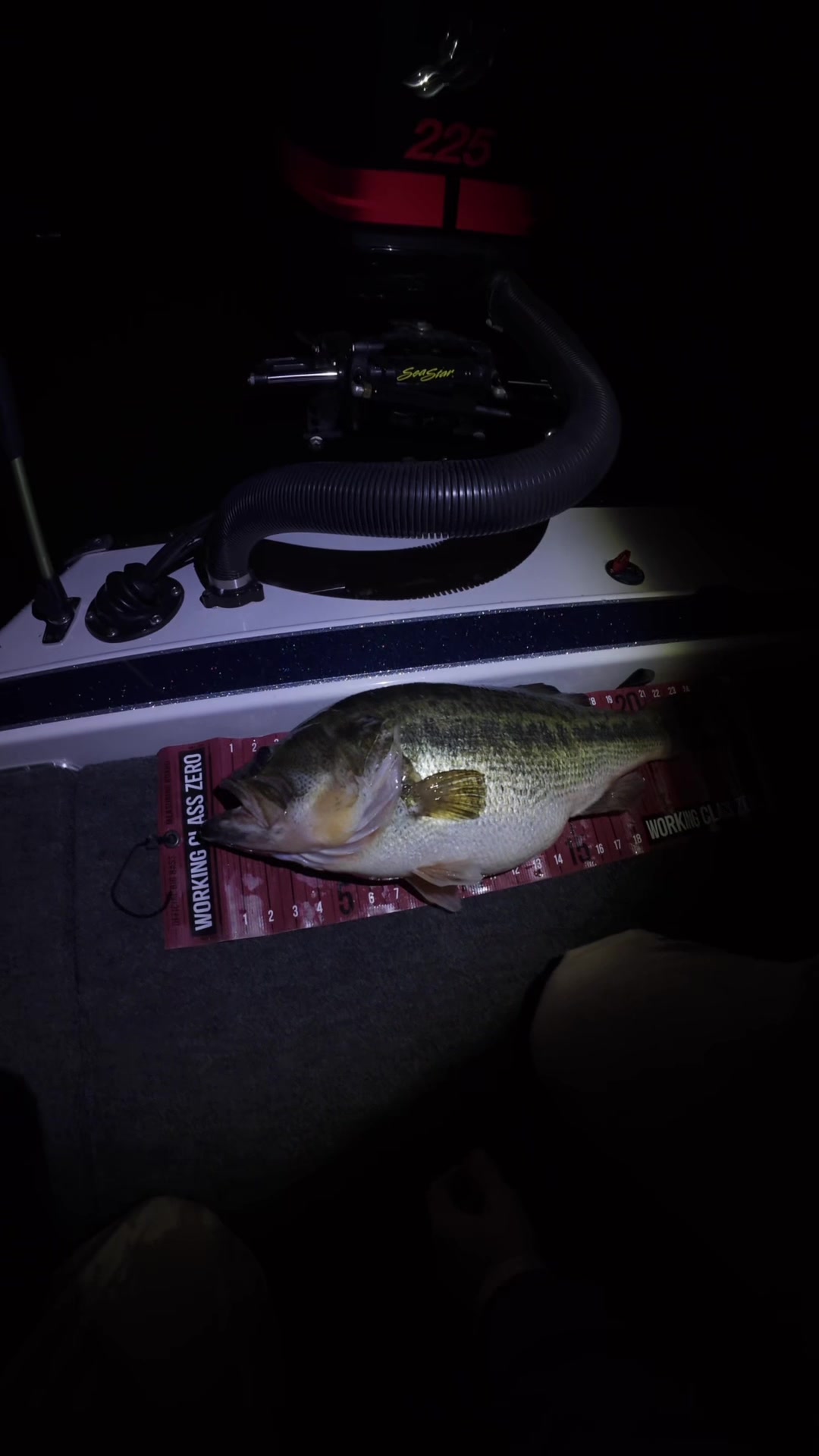 @potentialbitesfishing
