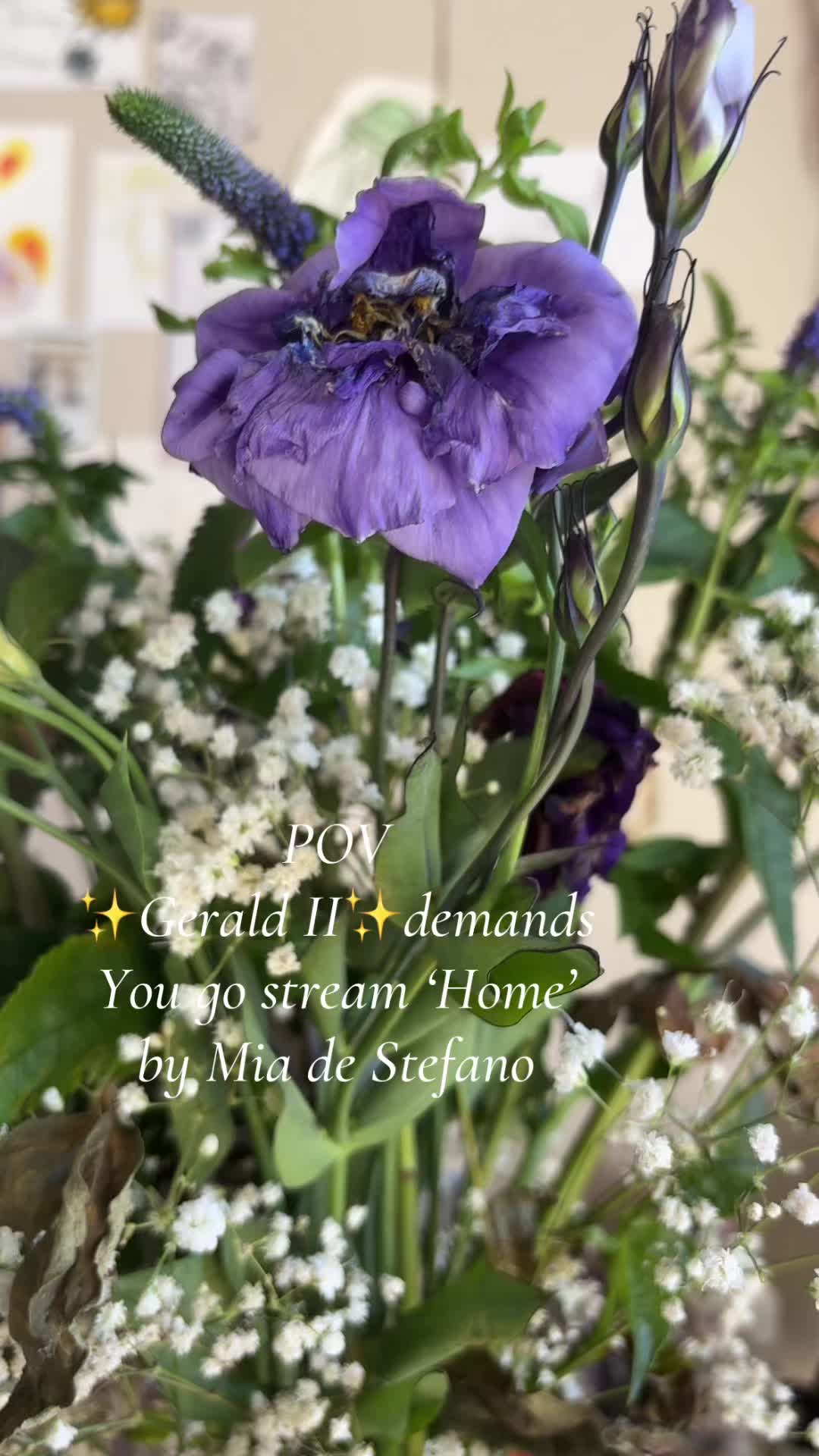 @Mia de Stefano