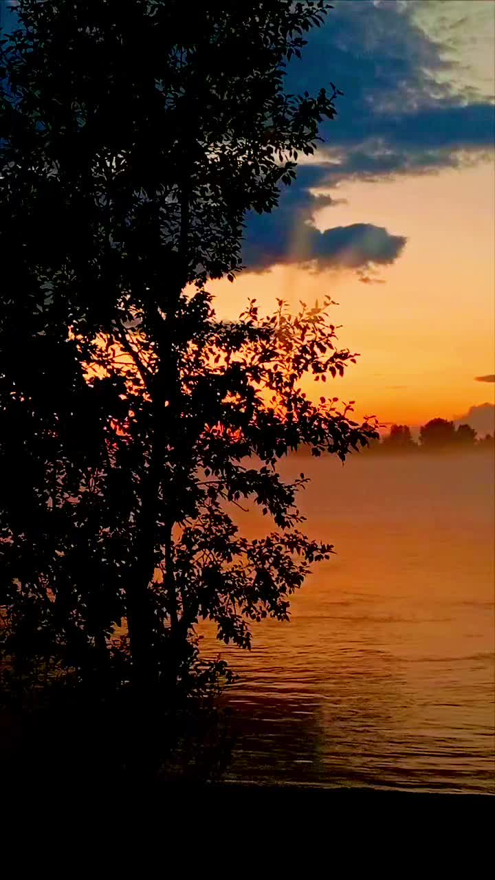 @✨Анастасия ✨
