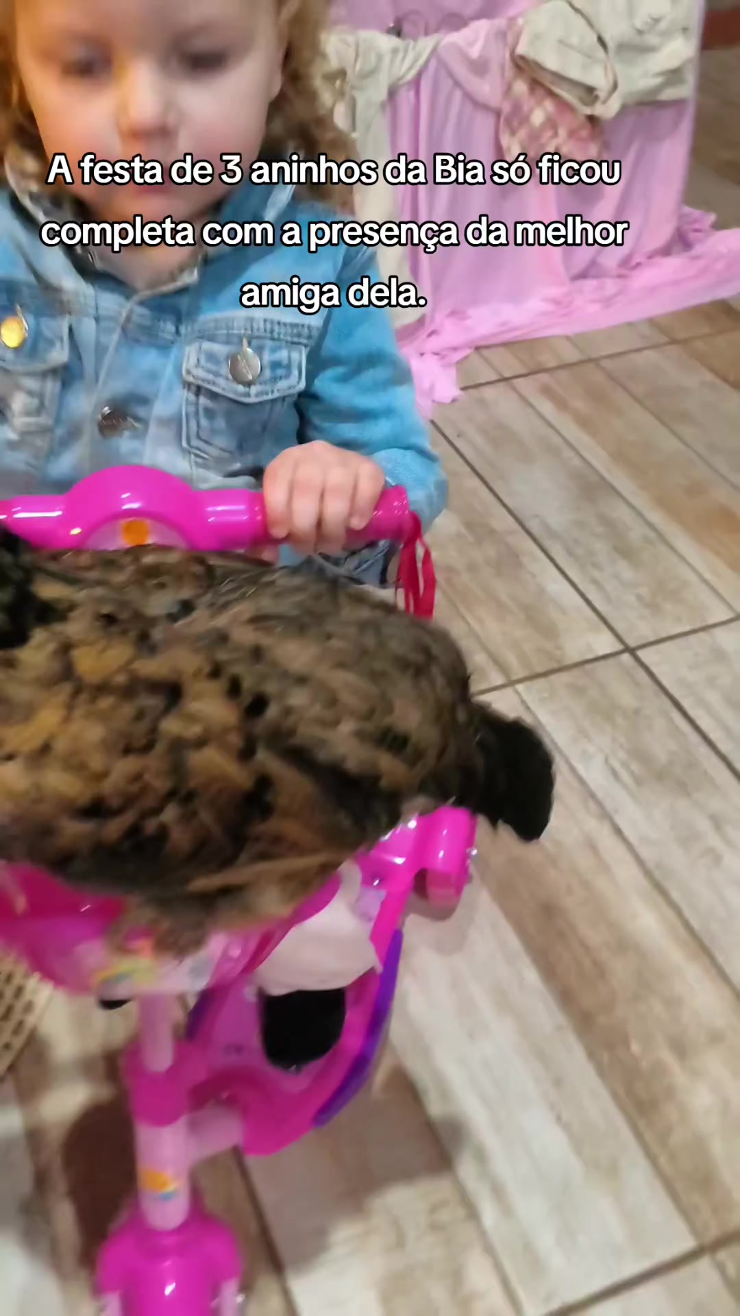 @Natália e Beatriz 🐣
