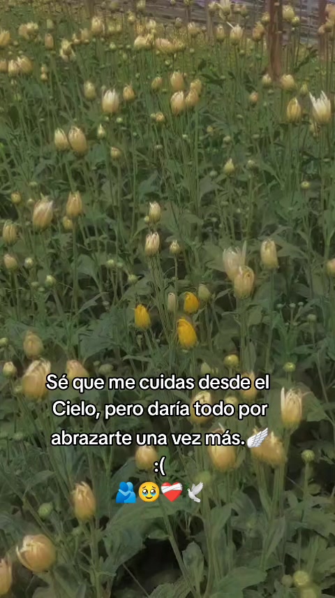 @Sheny