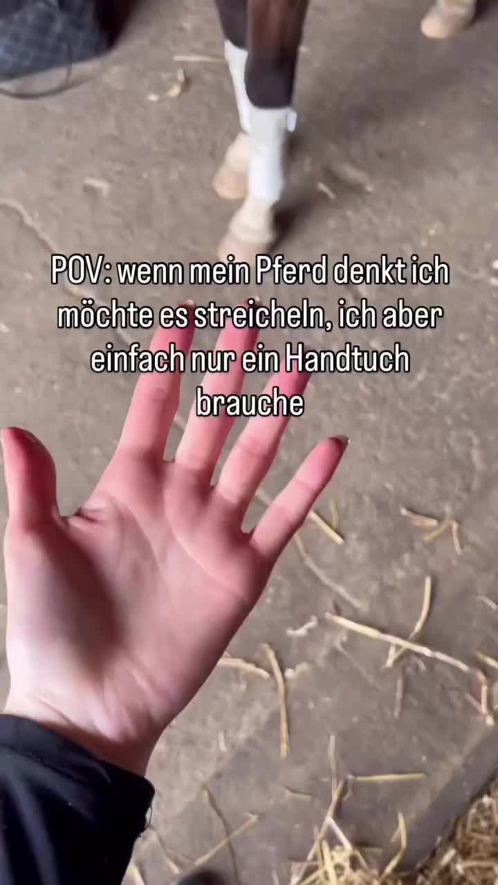 @ne.horses