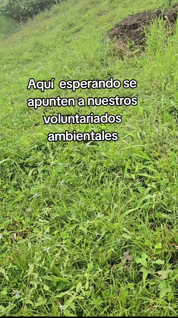 @SolidaridadsinLimites