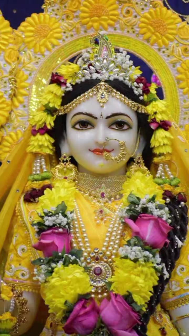 @✨🥀Sapana Yaduvanshi 980✨🥀