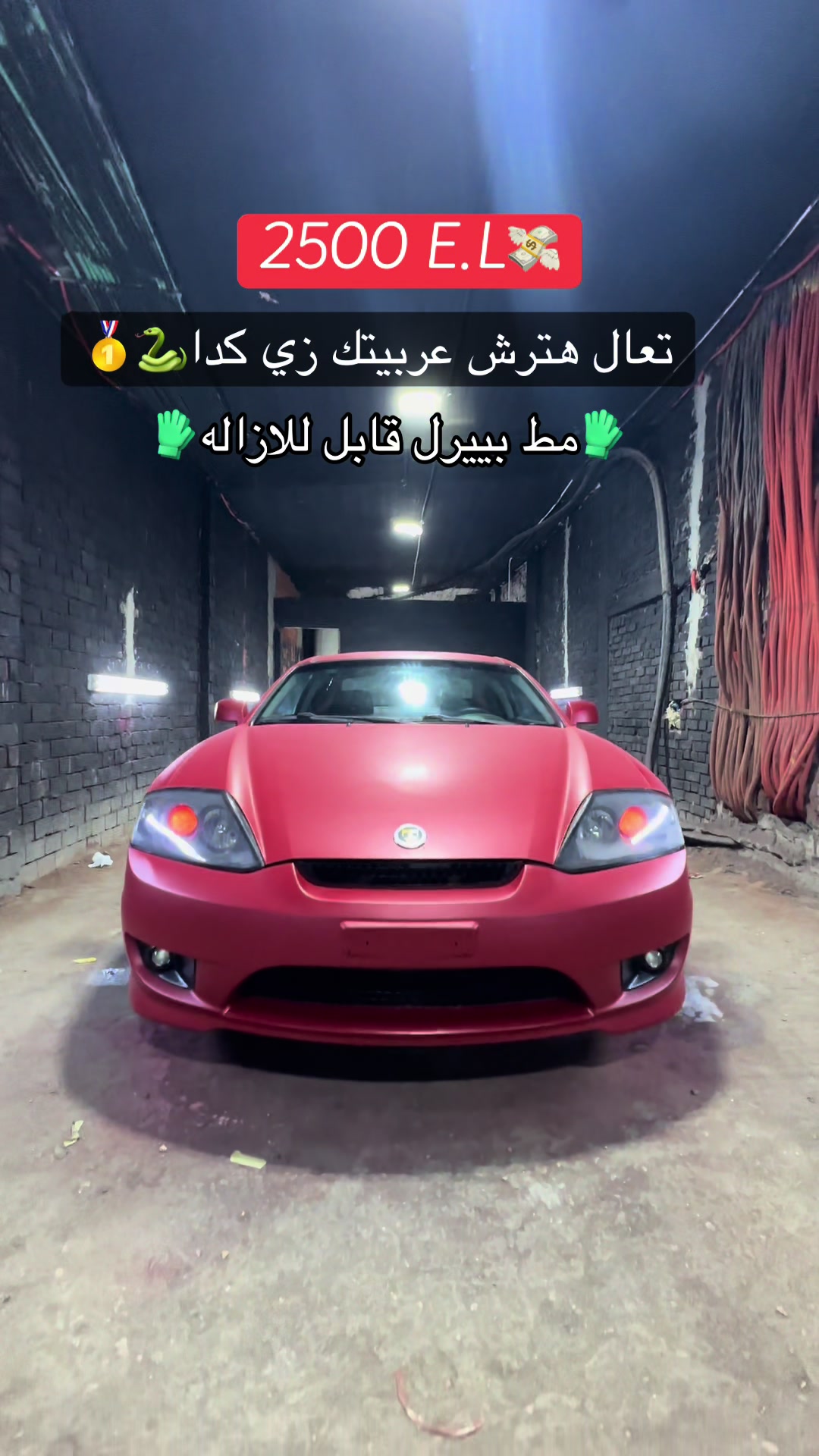 @Viper 🐍