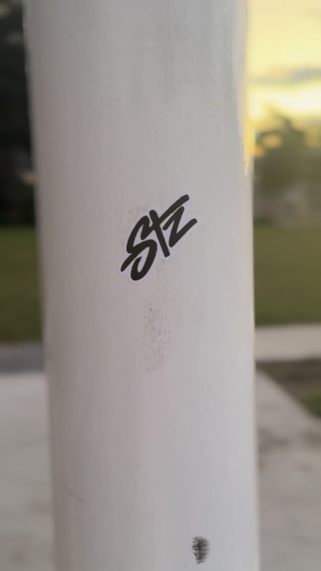 @The Steezy Collection