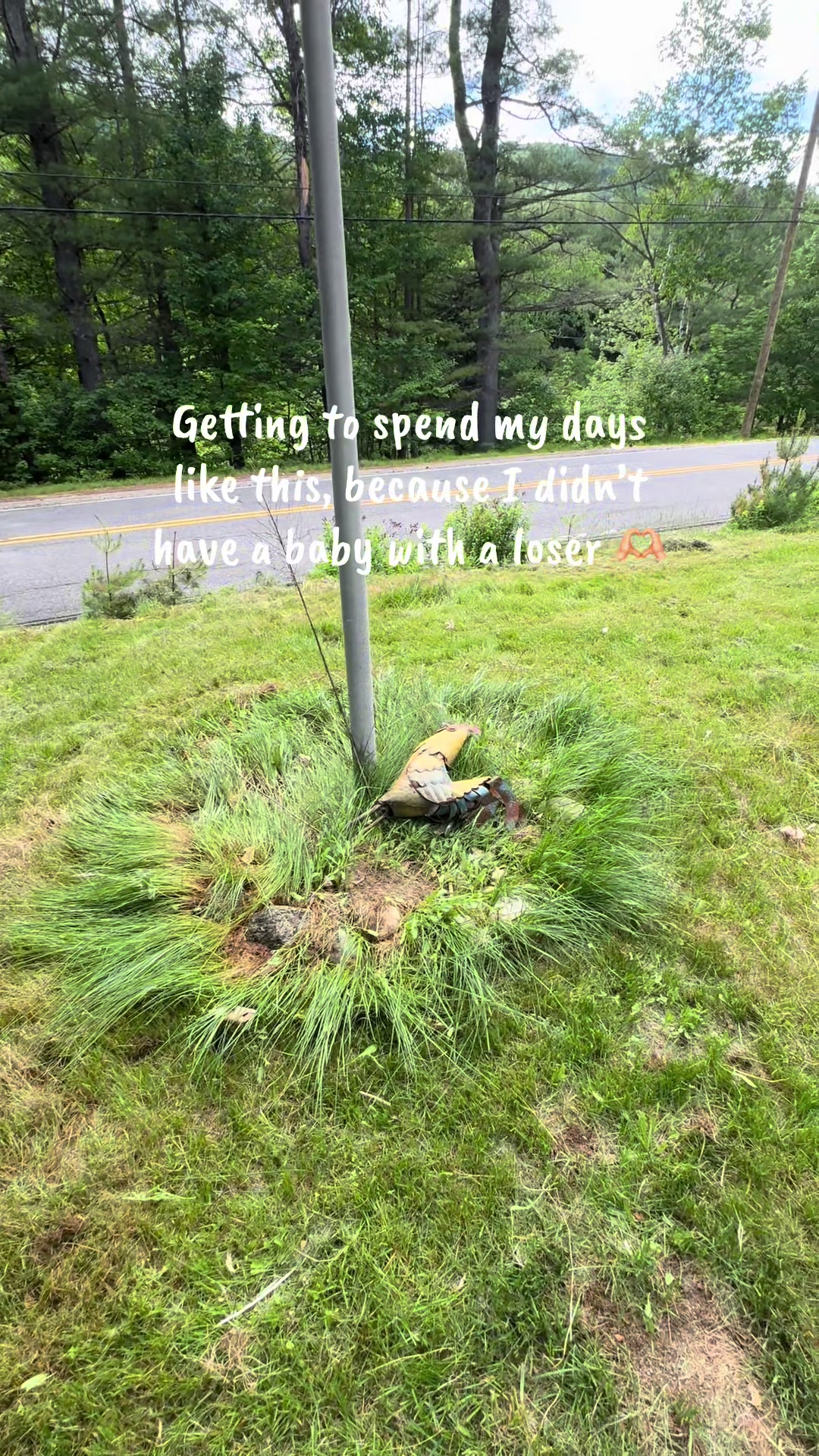 @🌻
