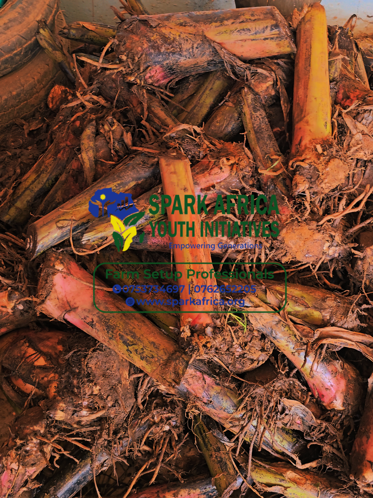 @SPARK AFRICA 1