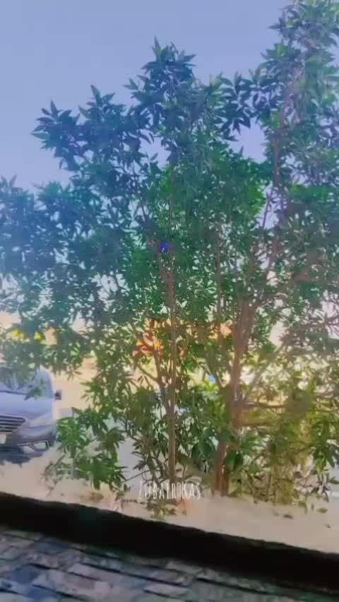 @ShعRRy TaNoLi