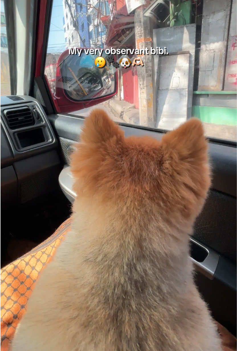 @IG: @mainevillanueva ๐งฟ๐