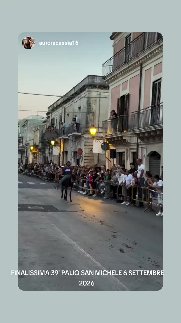 @ENZO CAVALIERI