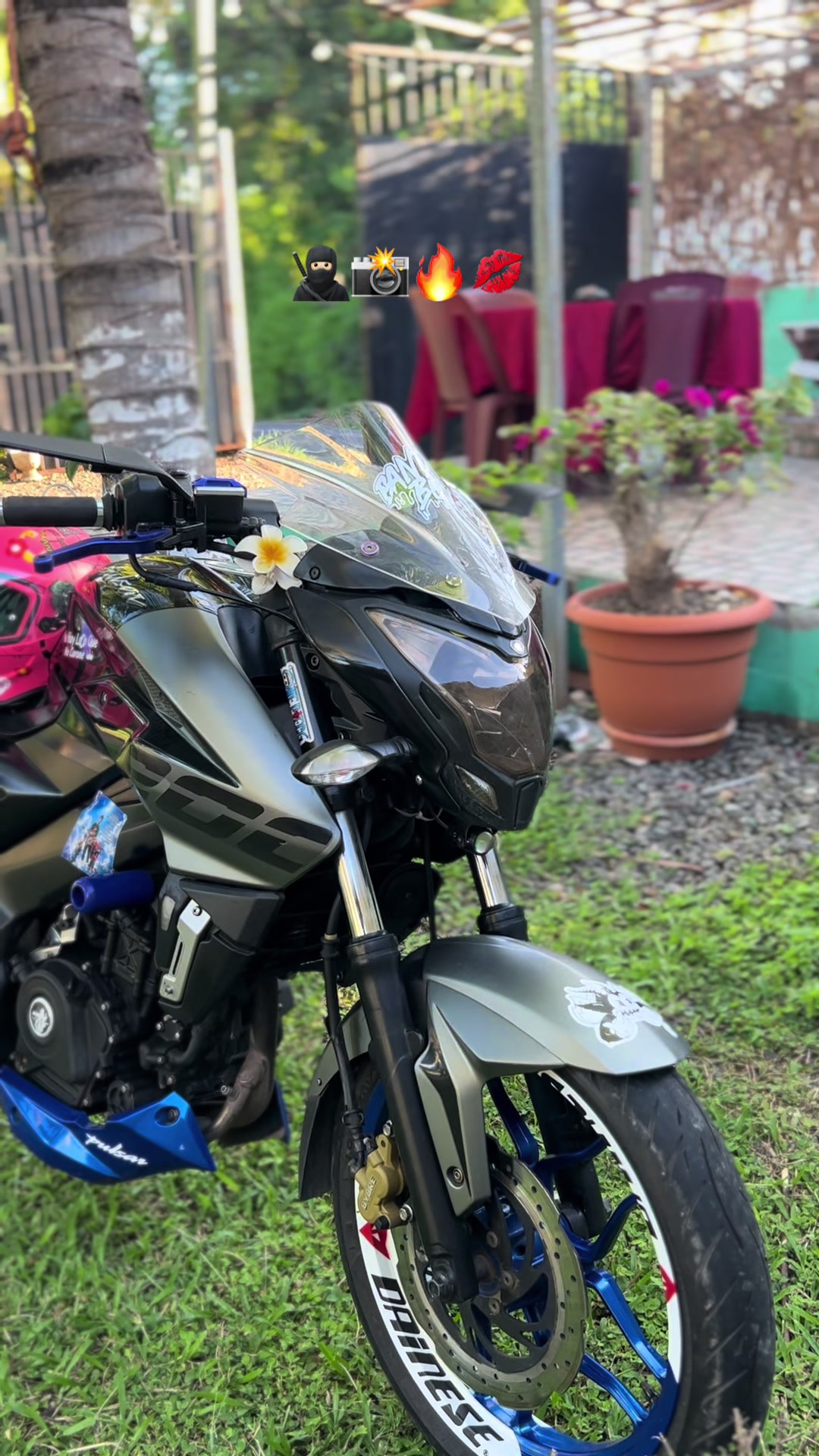 @el pana 🦥