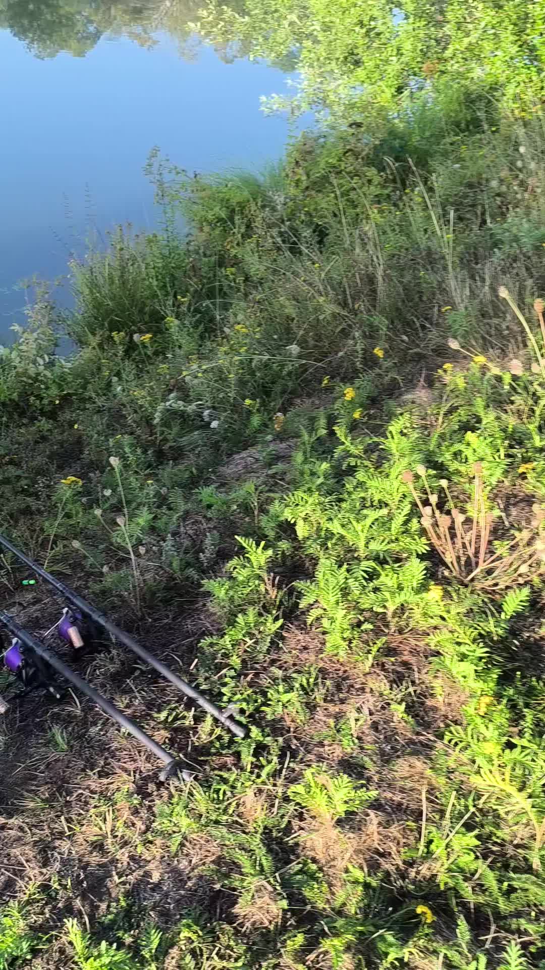 @Jocarpfishing