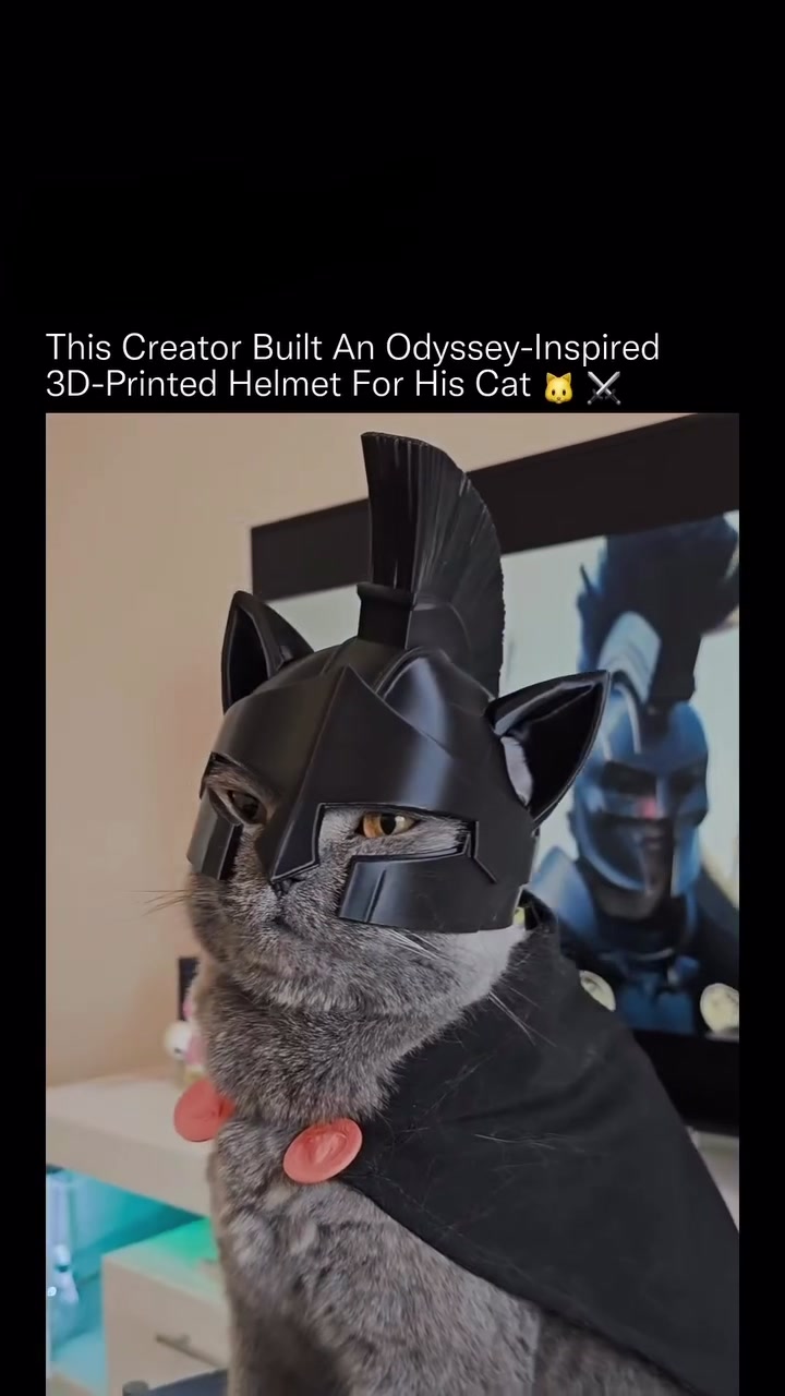 @urdailydoseofinternet28