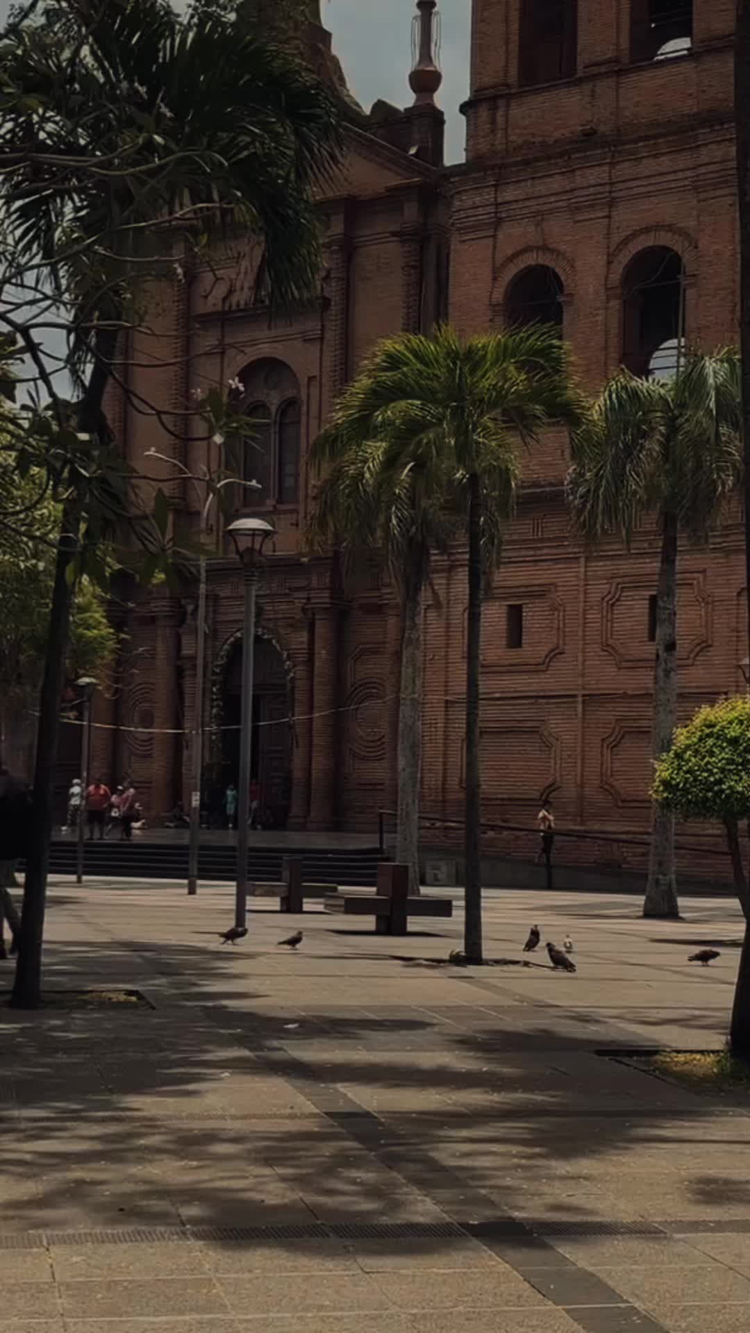 @Alvarez.Diana14