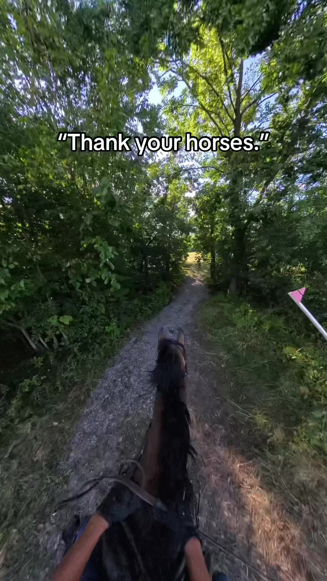 @Bennett Sisters Eventing