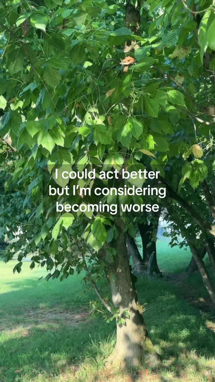 @Ric 206