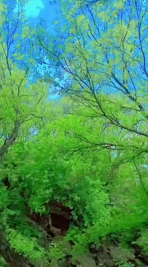 @مالنگ دادا💯