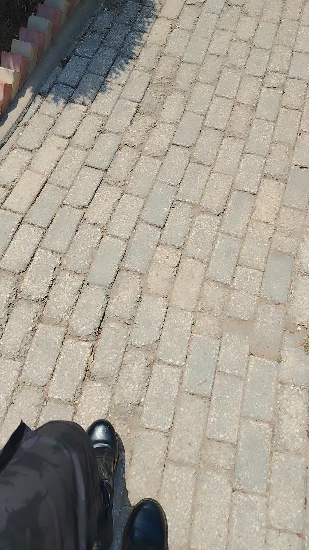 @البشمعاون 🥷(صلى على النبي❤️)