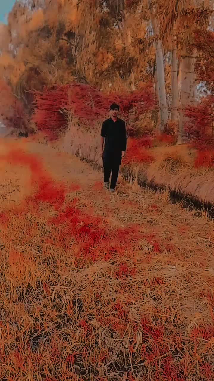 @🌛فیصل 🌜 میو ❤️ راجپوت 💯804،