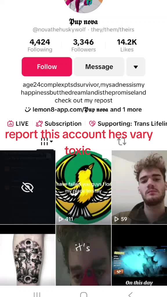 @theshinningfirefox
