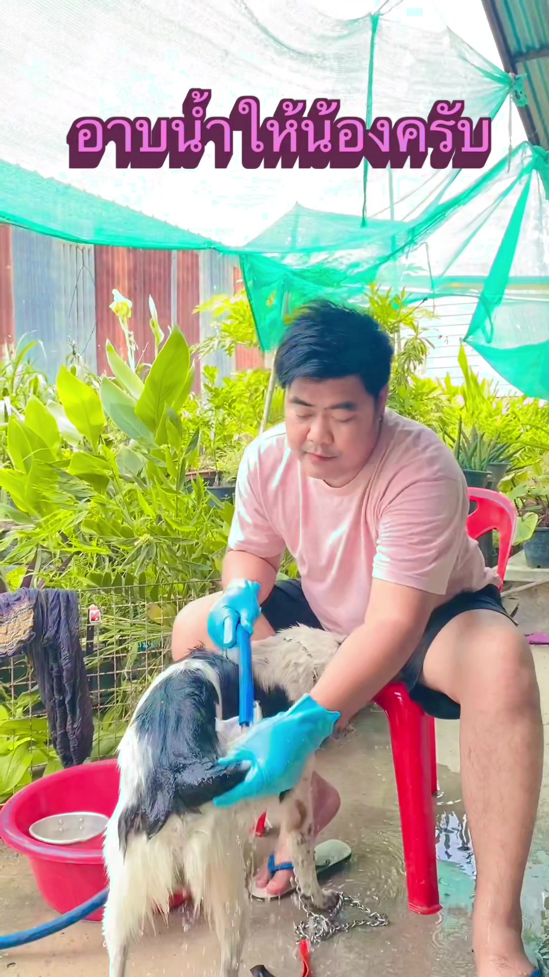 @ชายเล็ก ลูกชายหล้า