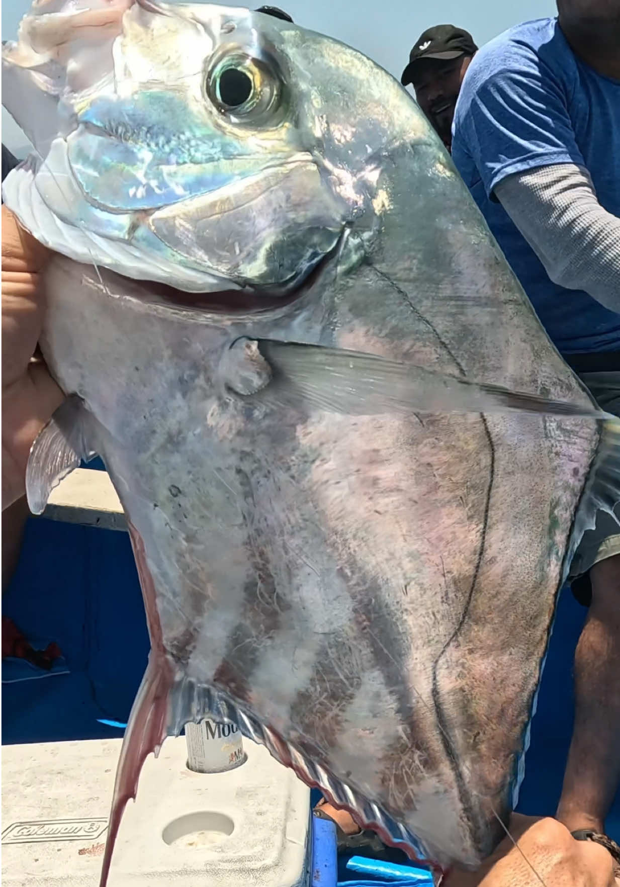 @Ranfery C. G. Sport_Fishing