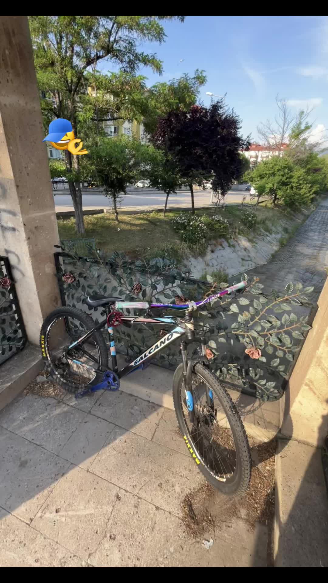 @&euro;mo🇧🇷