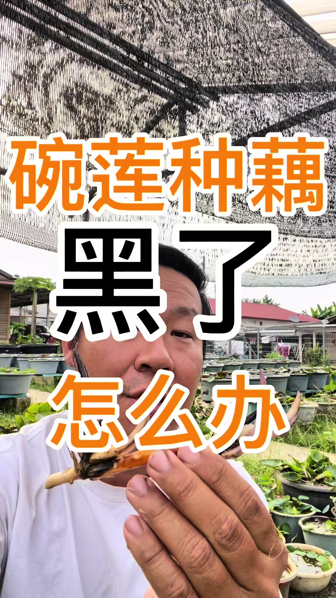 @Sean Planters’