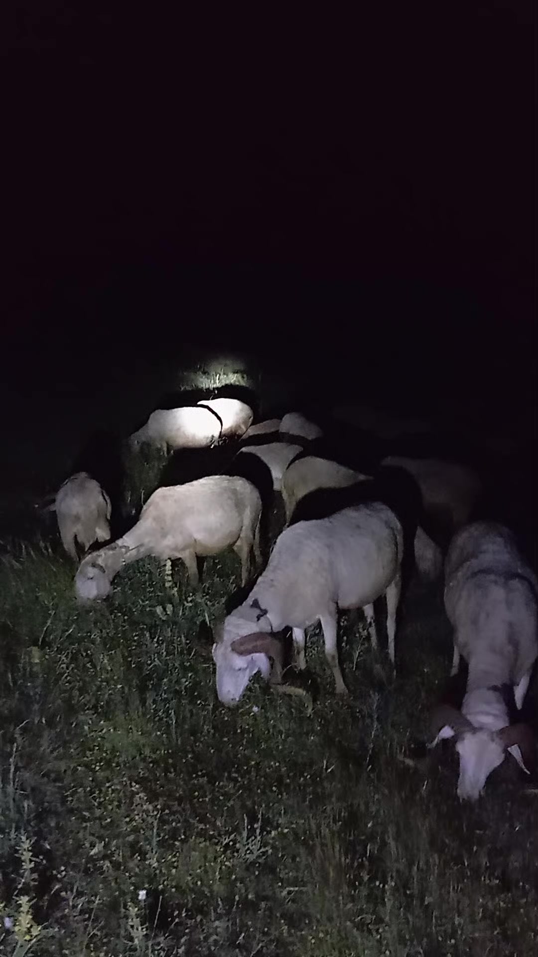 @Furkan STLMŞ 03