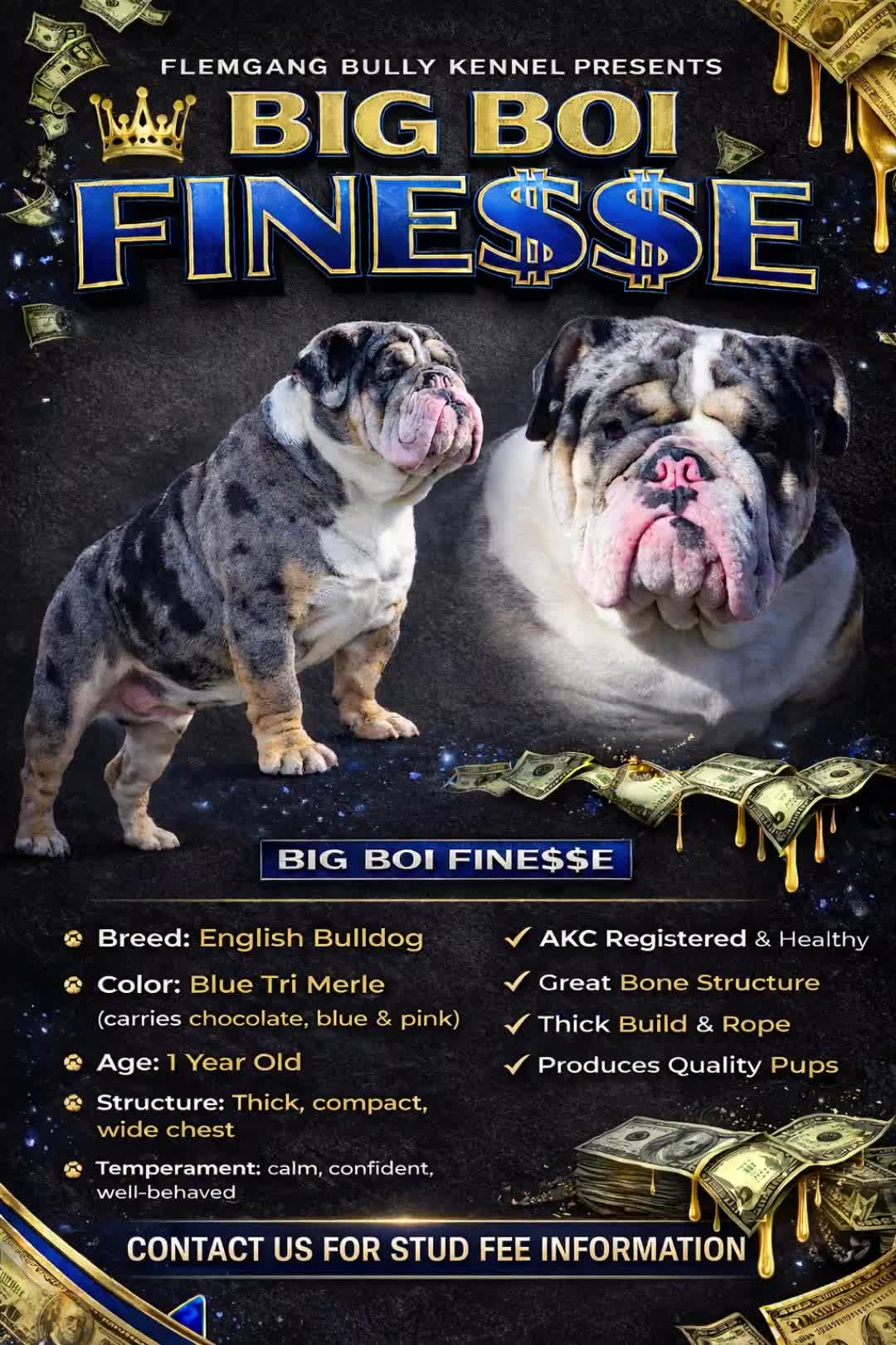 @Flemgang Bully Kennel๐๐พ๐โจ