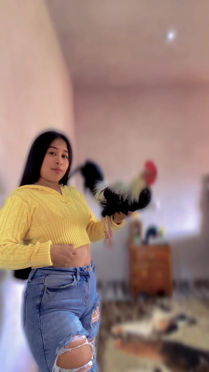 @🐓Gallos2505🐓