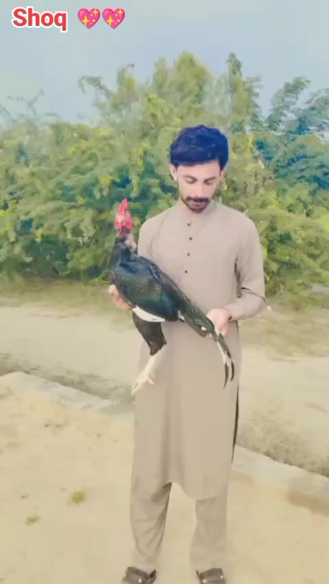 @Asad Saggu