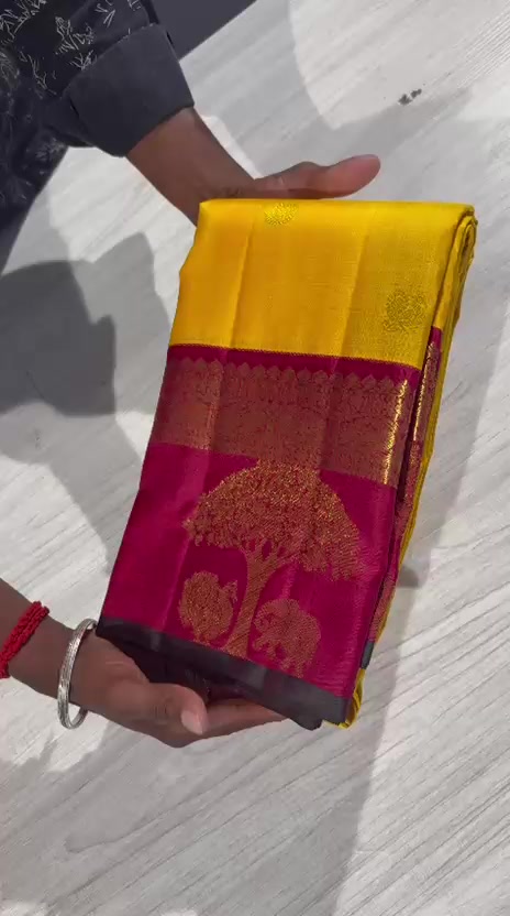 @Raanyass