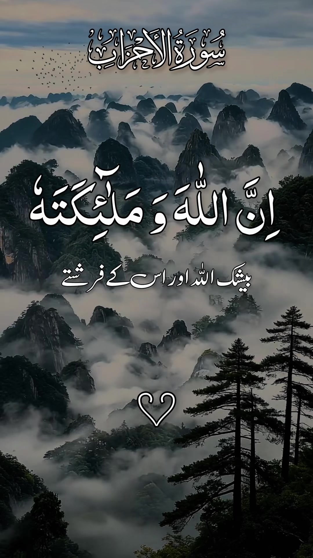 @❣️ Words of Allah ❣️