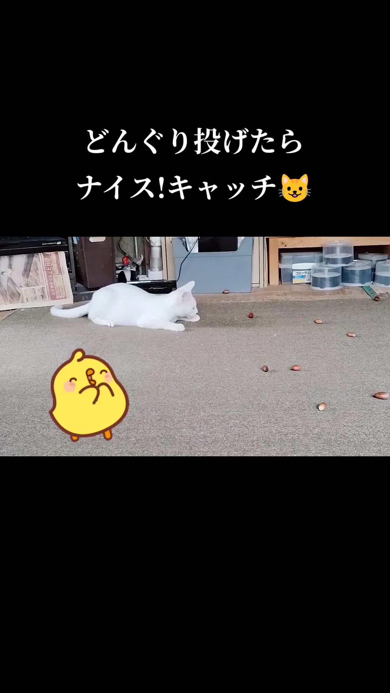 @遊喜