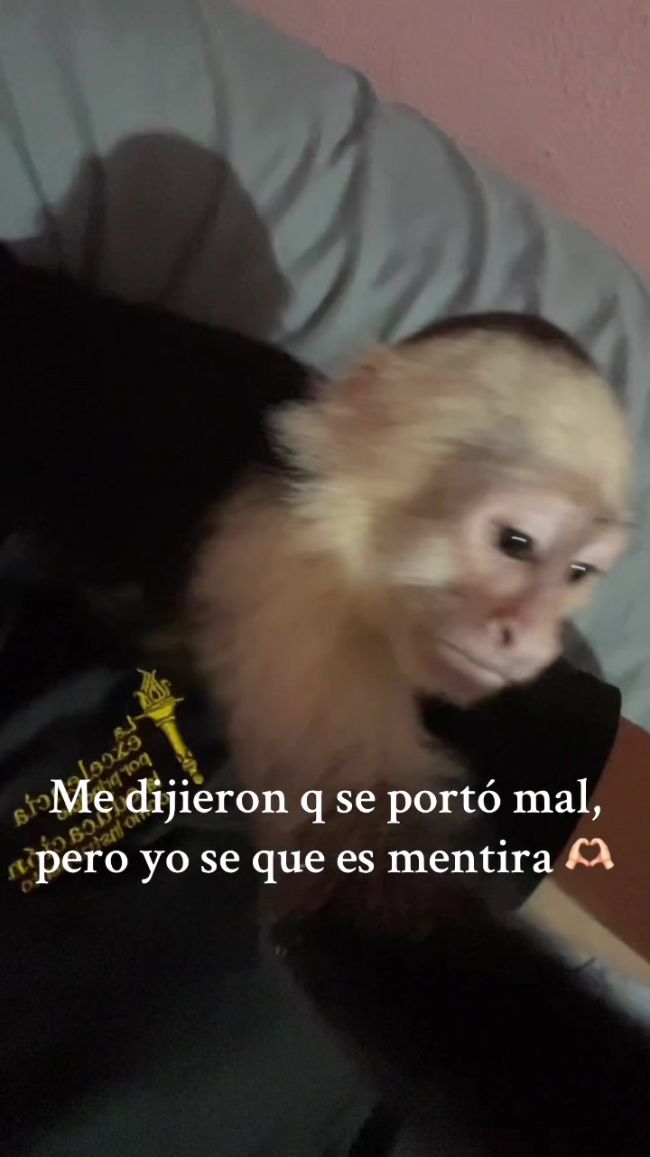 @nicolemata681