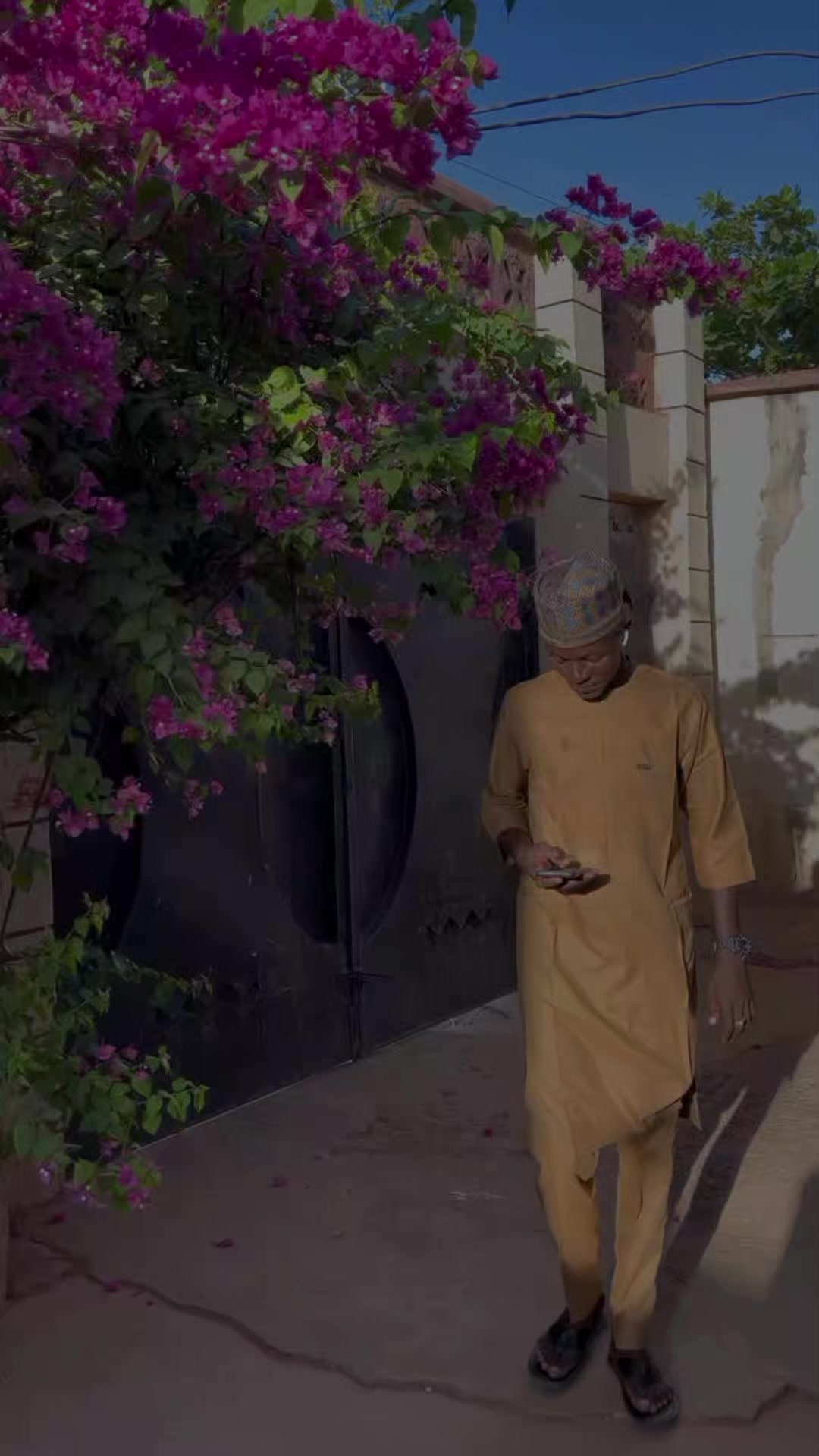 @ibrahim musa