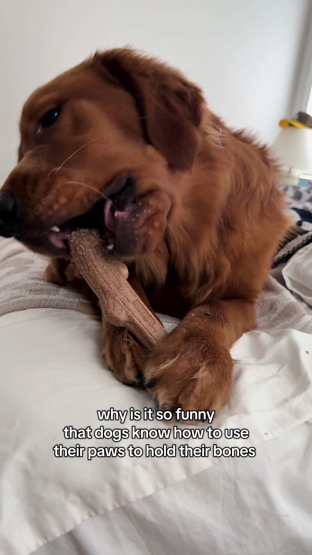 @Honey + Otis